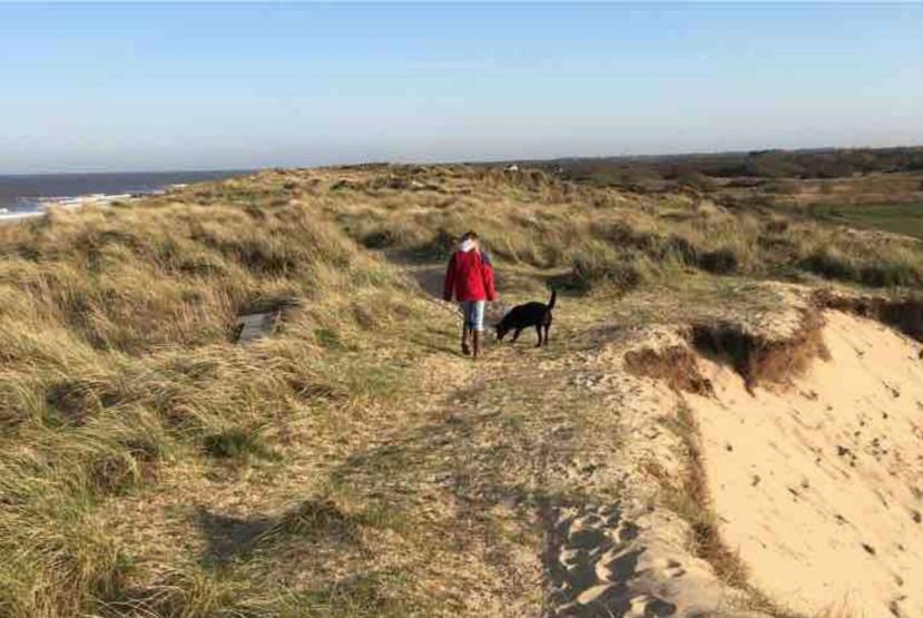 Cosy Pet Friendly Victorian Coachhouse Near Nature Walks On Norfolk Broads, With Fire Pit, Bbq & Alpacas Villa Ranworth Kültér fotó