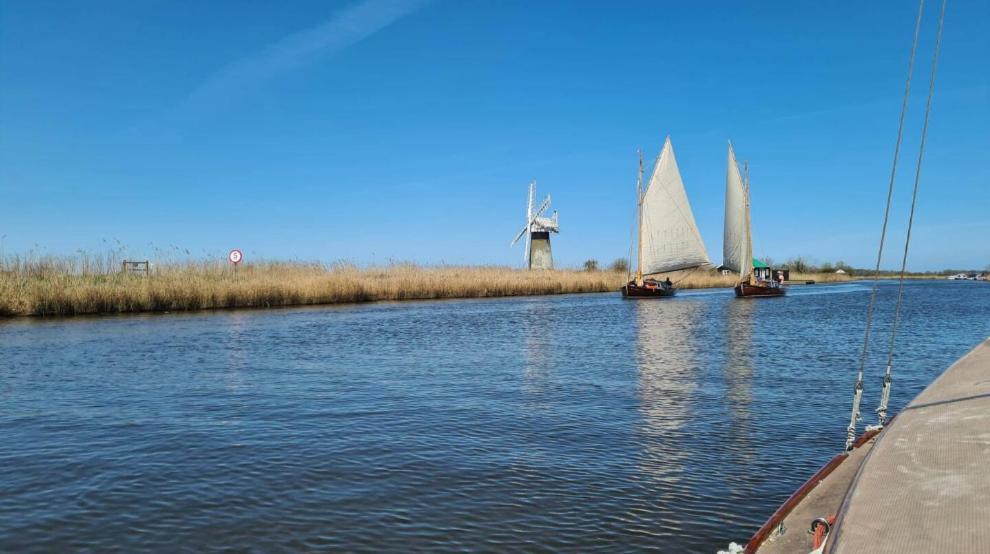 Cosy Pet Friendly Victorian Coachhouse Near Nature Walks On Norfolk Broads, With Fire Pit, Bbq & Alpacas Villa Ranworth Kültér fotó